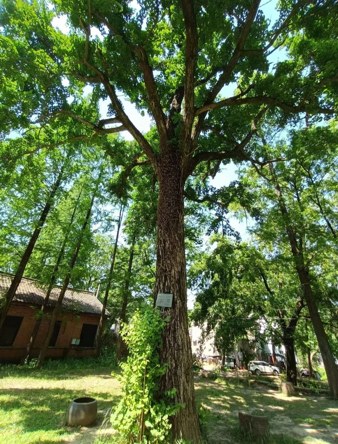 河南三月最值得旅游的十大地方推荐 |