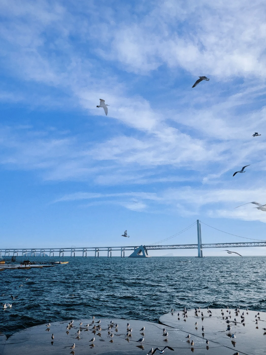 迄今为止，我最喜欢的海滨城市出现了！！！