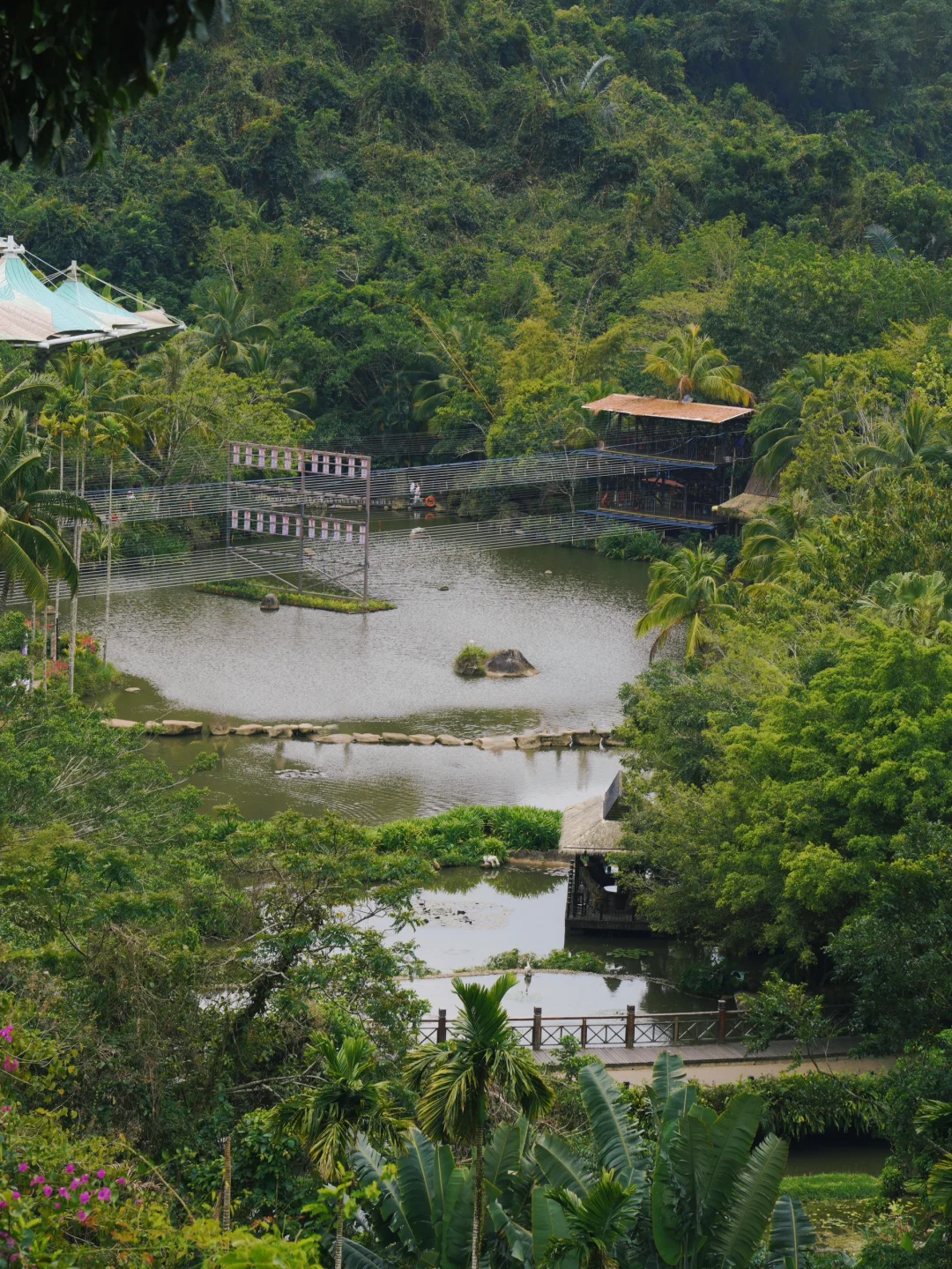 来三亚📍我发现了春日的热带雨林👒｜呀诺达