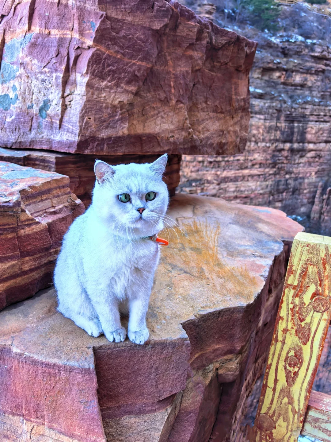 邯郸游玩：东太行一日游