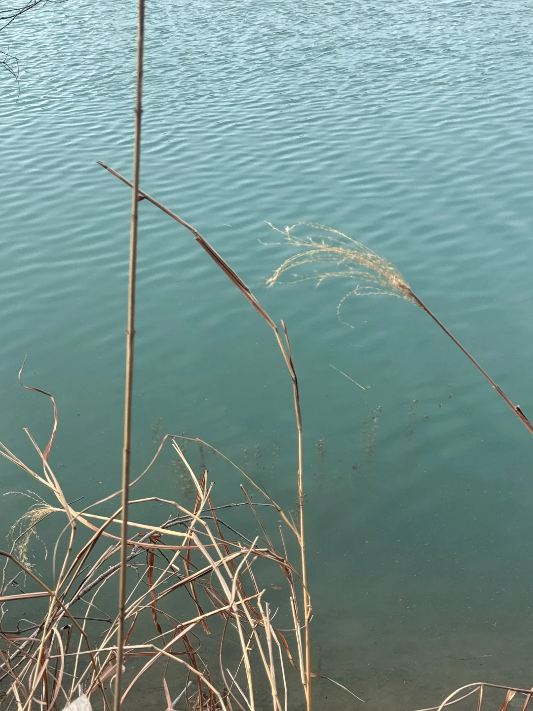 避雷3月份去万泉湖景区,不会再来了