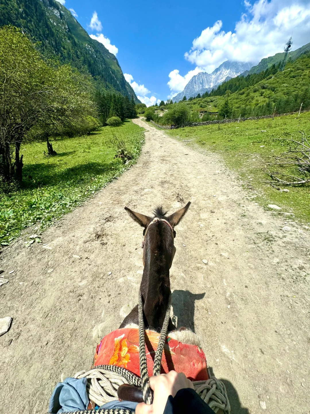 四姑娘山都不白来噢｜原图直出的程度！