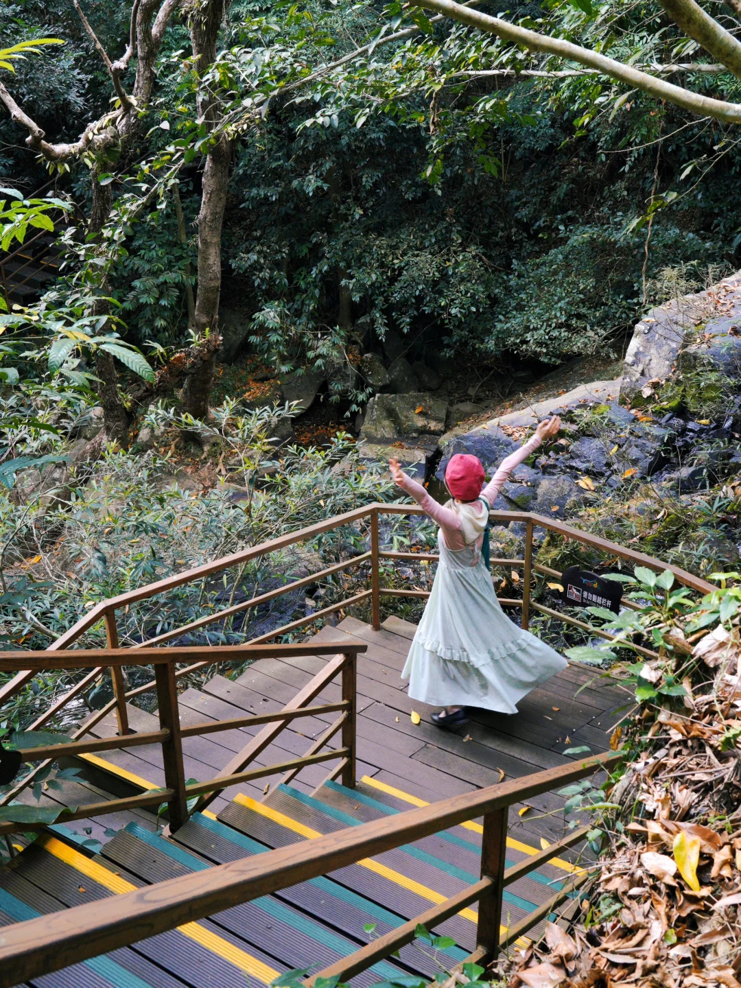 来三亚📍我发现了春日的热带雨林👒｜呀诺达
