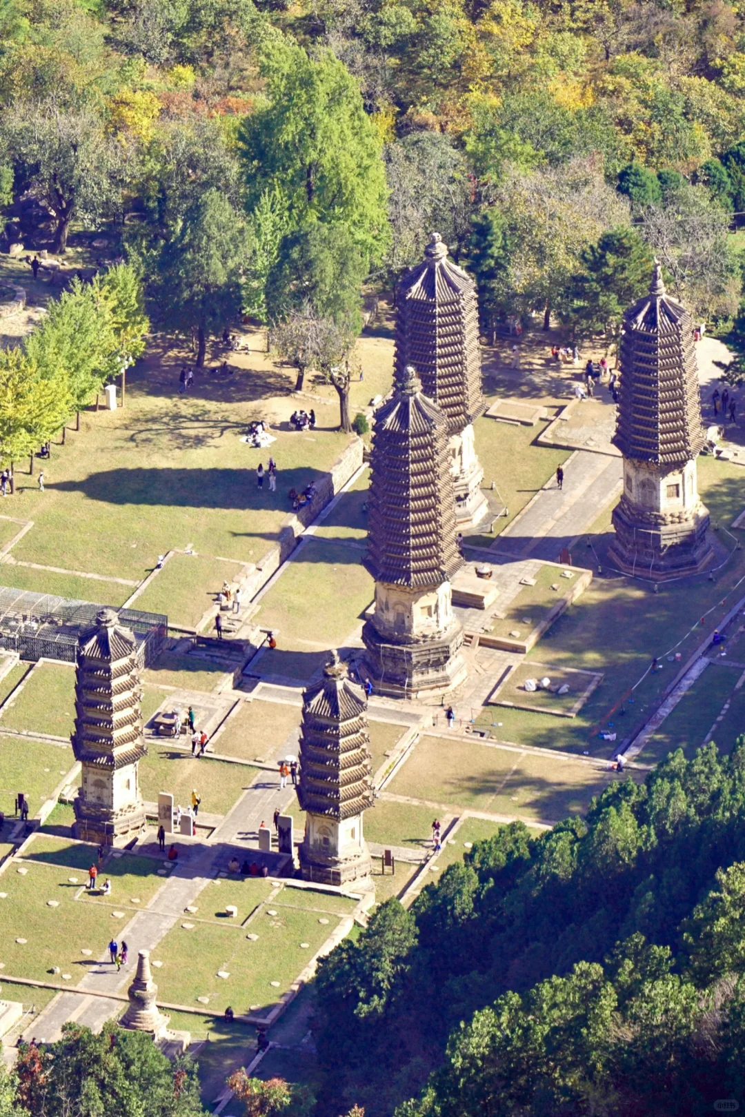 京郊1h🚙被严重低估的春游秘境🌳附攻略