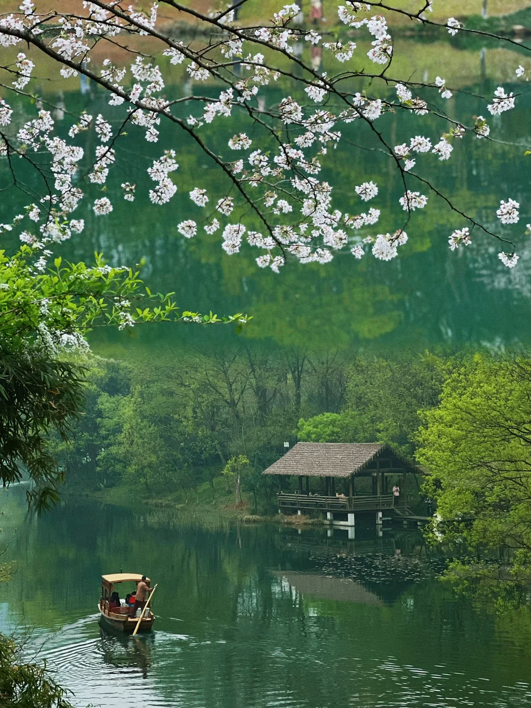 我在杭州上春山 | 最推荐的西湖赏春路线❗️