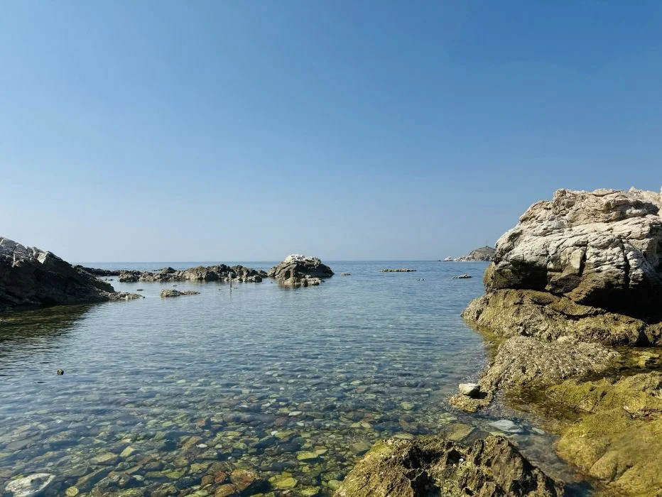 四百元预算!避开人潮解锁高性价比春日旅行
