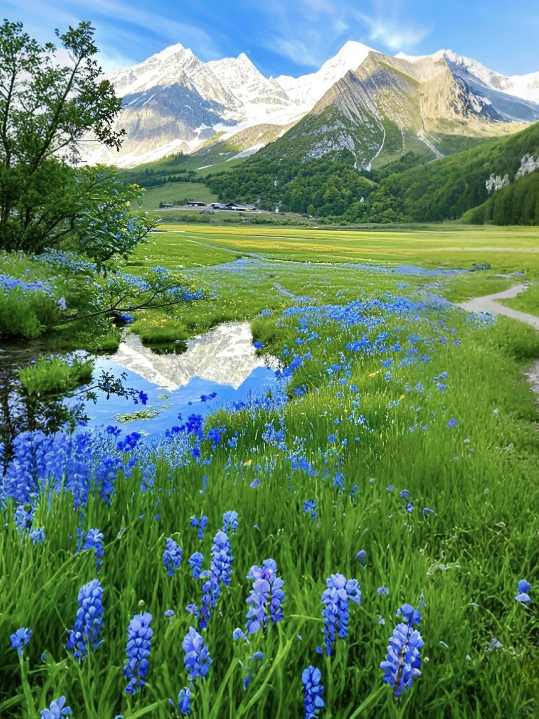 稻城亚丁live实况!春夏永远值得相信!