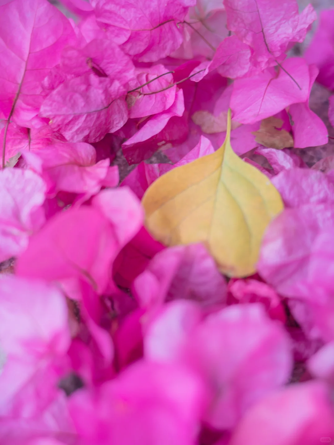 你们南宁还是过得太好了‼️