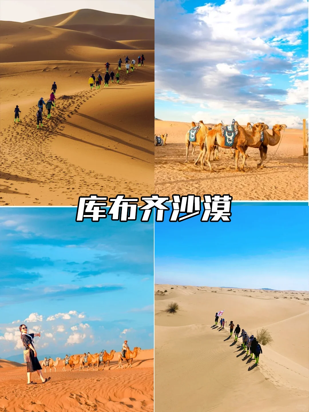 北京出发3h高铁可达的城市✅清明节旅游指南