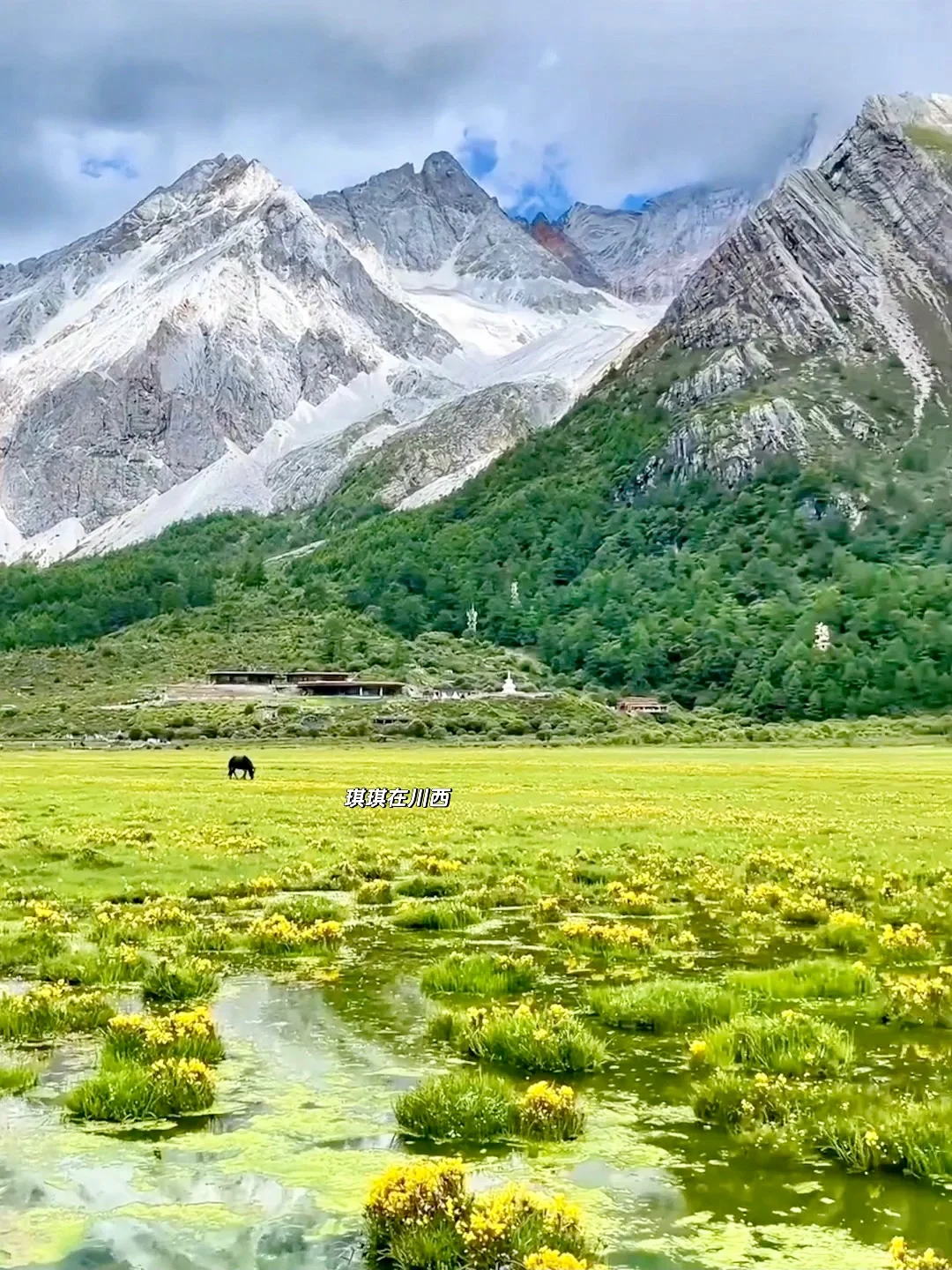 稻城亚丁live实况!春夏永远值得相信!