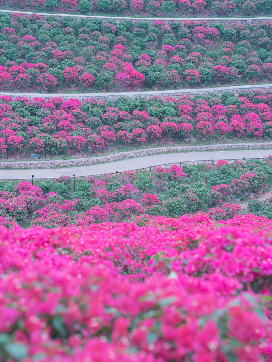你们南宁还是过得太好了‼️