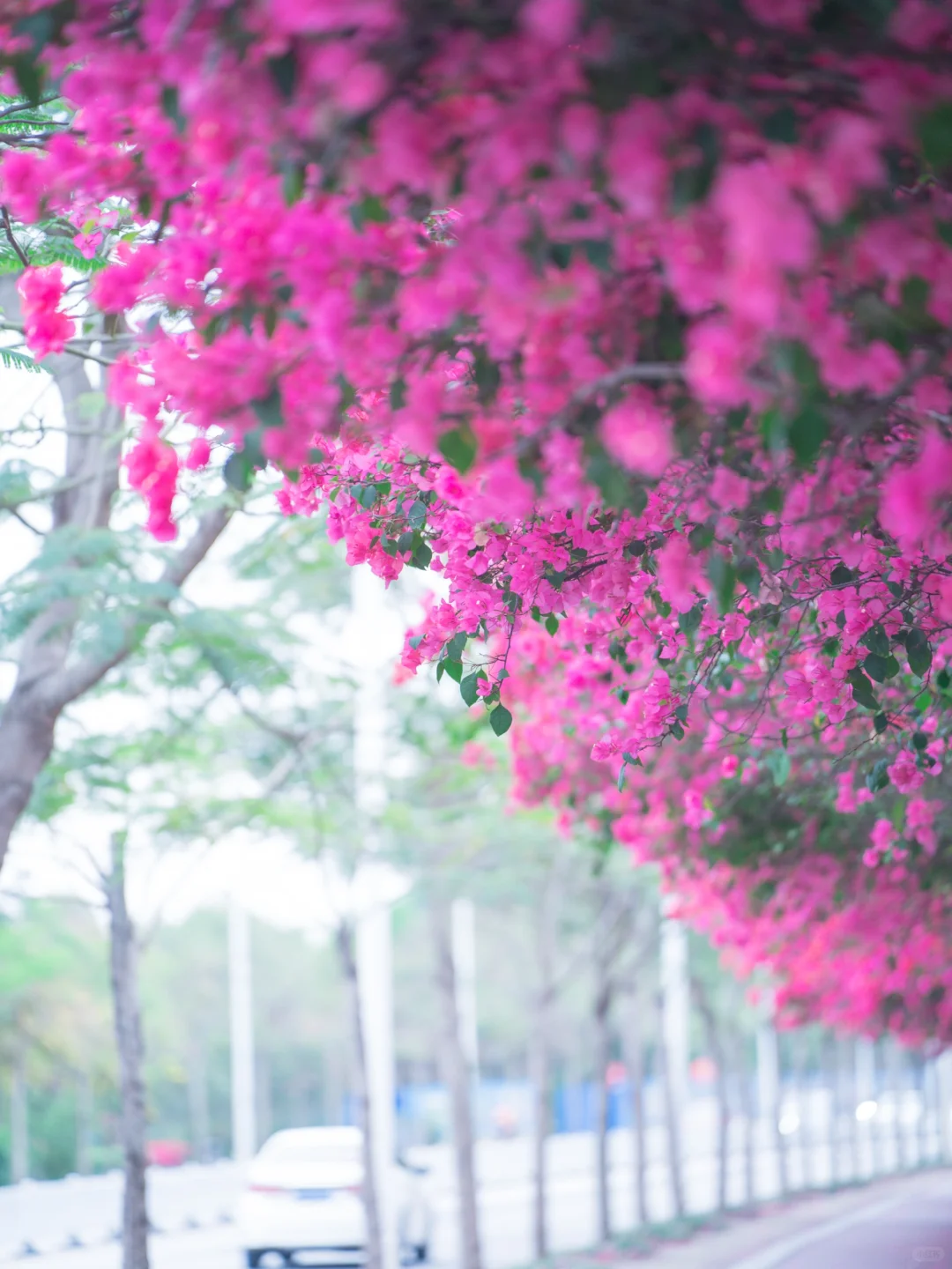 你们南宁还是过得太好了‼️