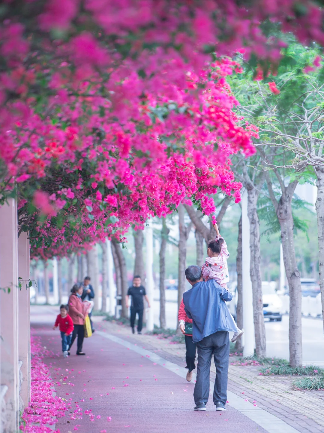 你们南宁还是过得太好了‼️