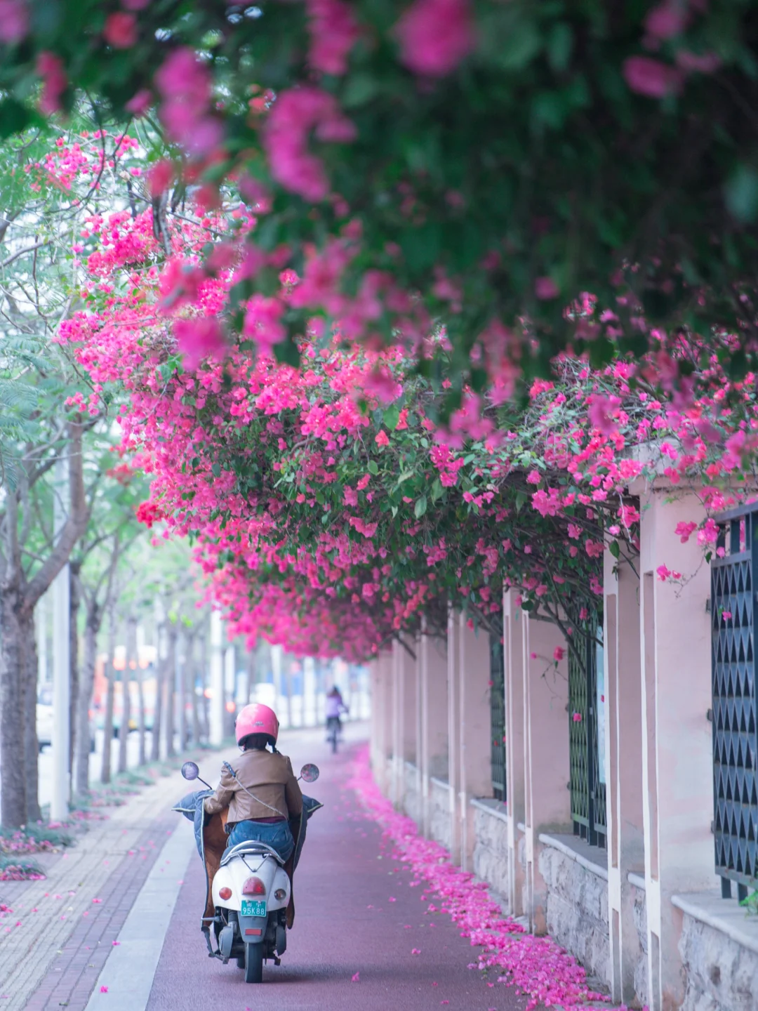 你们南宁还是过得太好了‼️