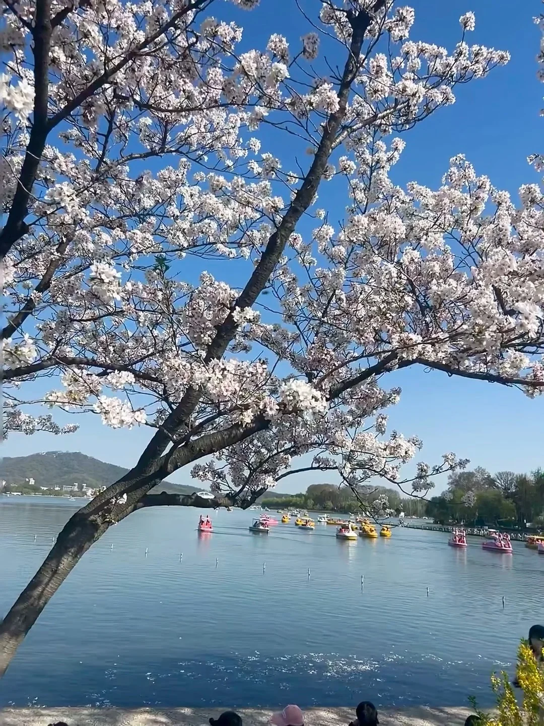 听劝👂3-4月来南京的姐妹请🐎住