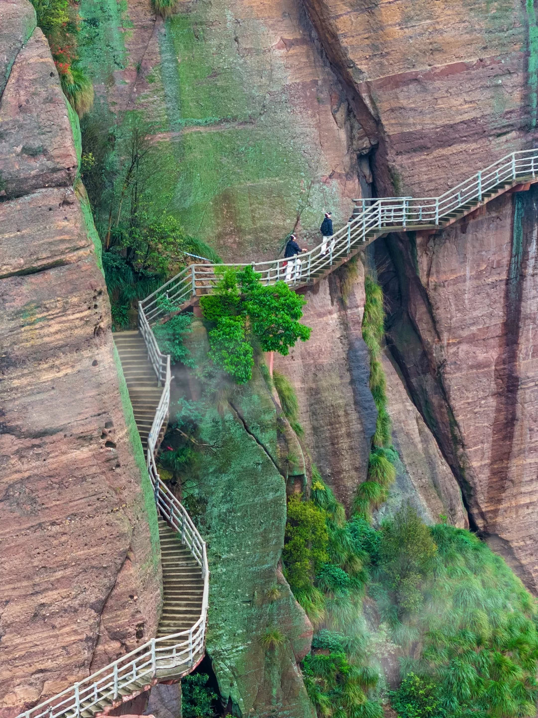 我的生命就应该浪费在这种地方…