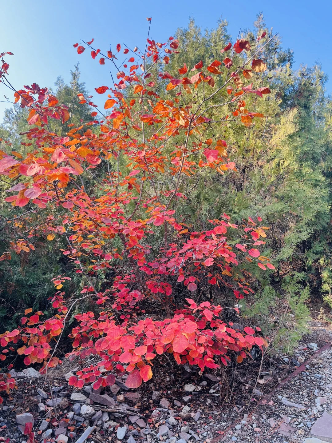 【蓟州】民宿附近热门景点一网打尽