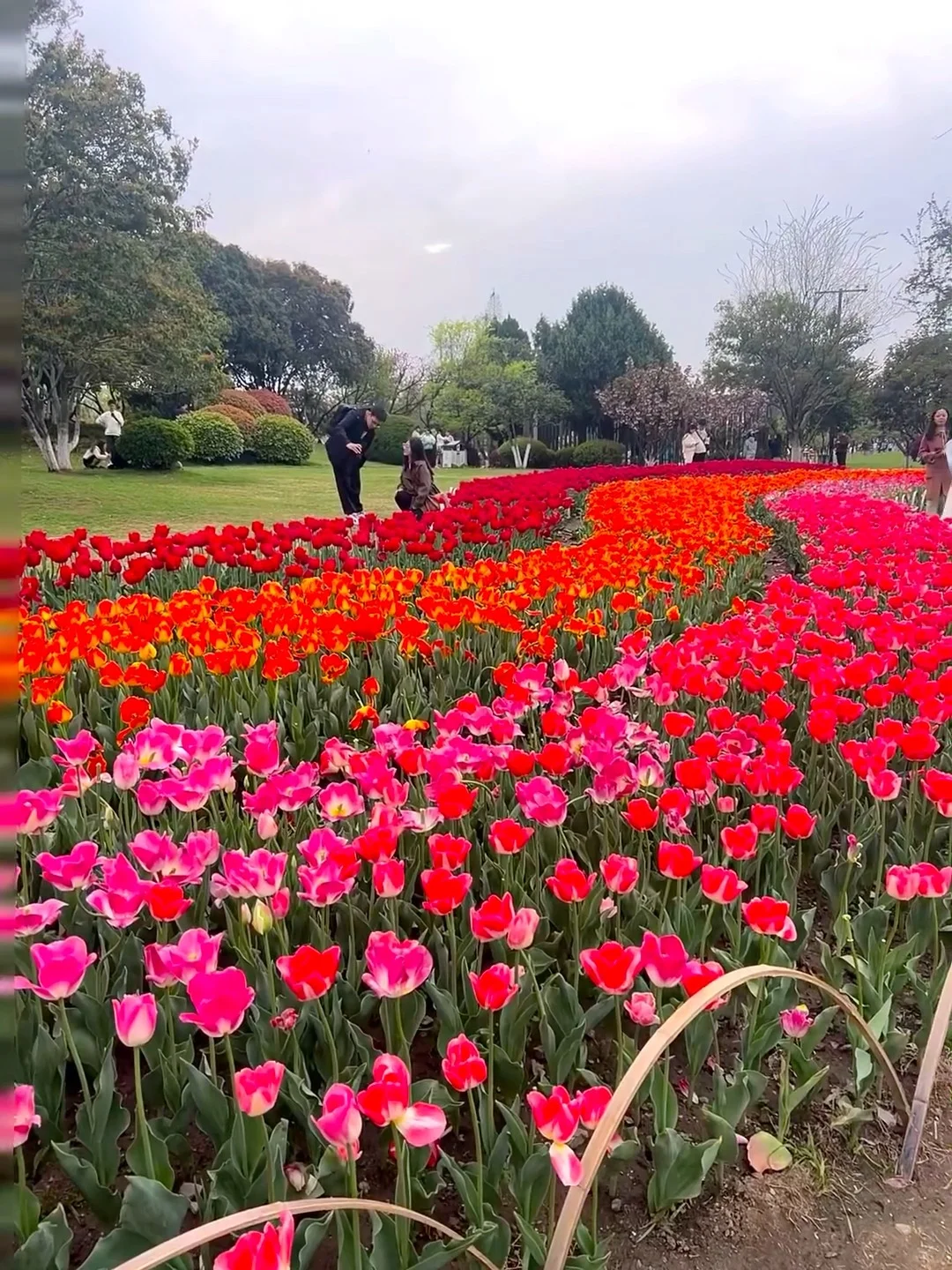 听劝👂3-4月来南京的姐妹请🐎住