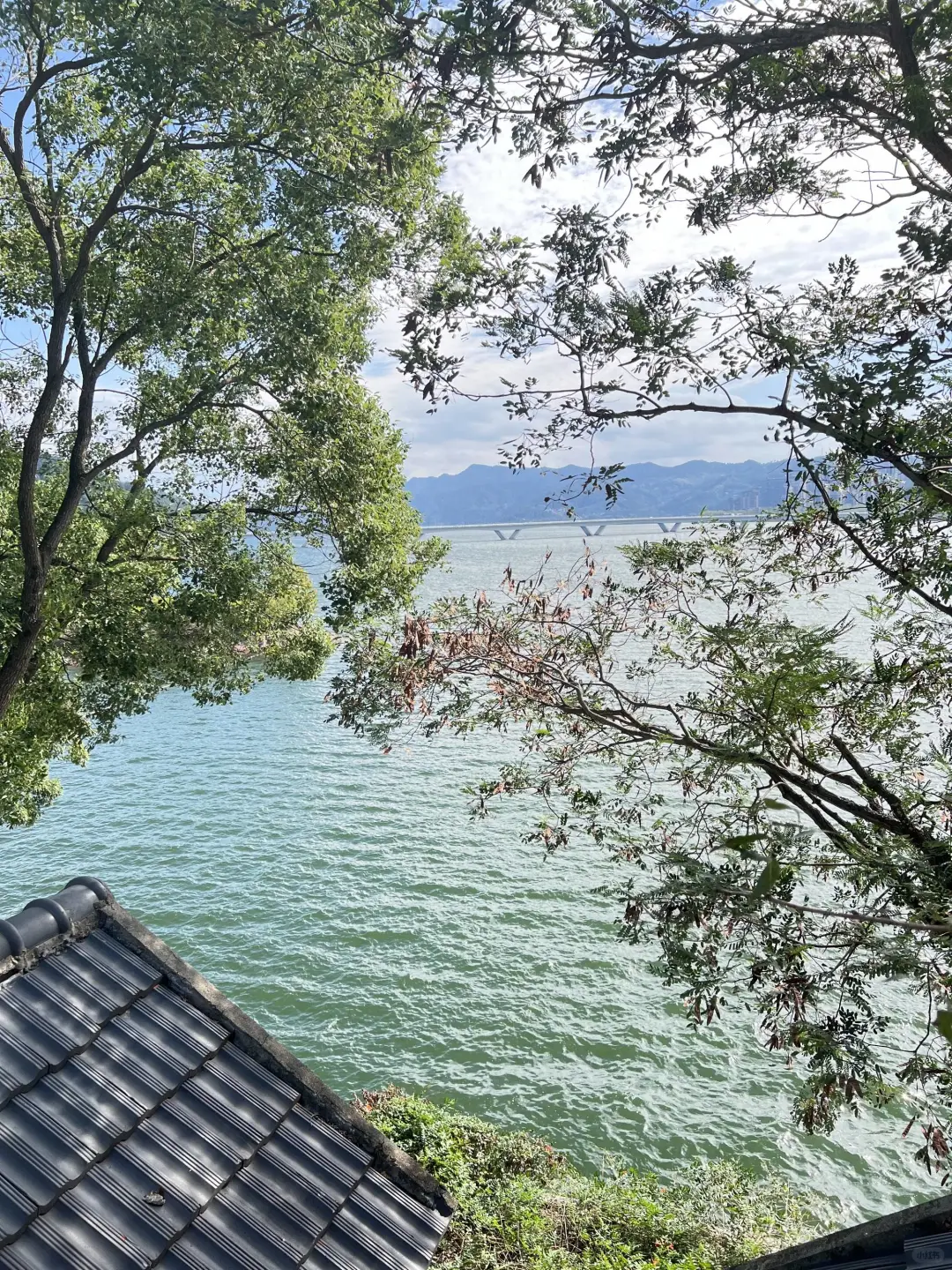 千岛湖!一岛一酒店!499两晚住进景点里