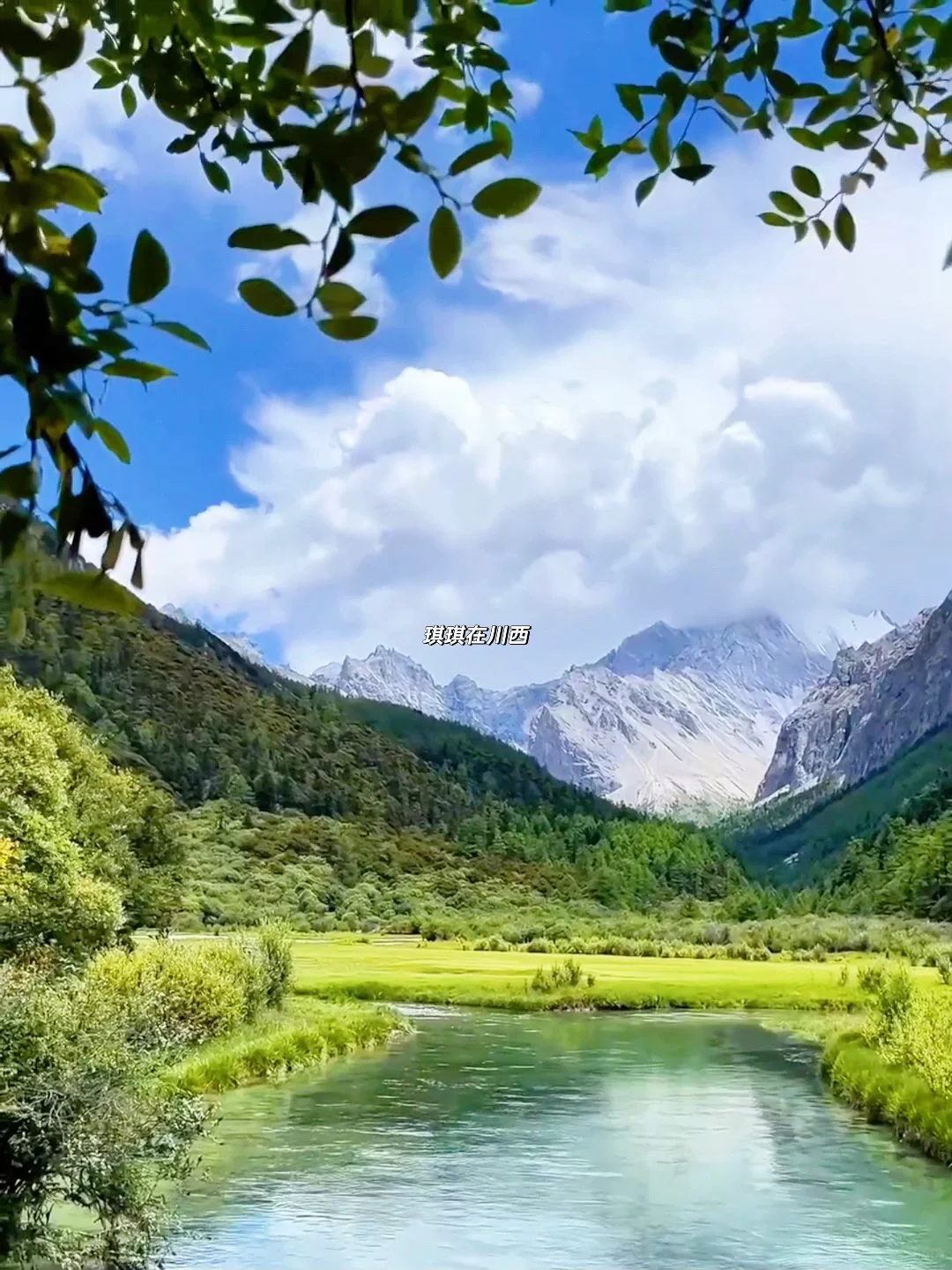 稻城亚丁live实况!春夏永远值得相信!