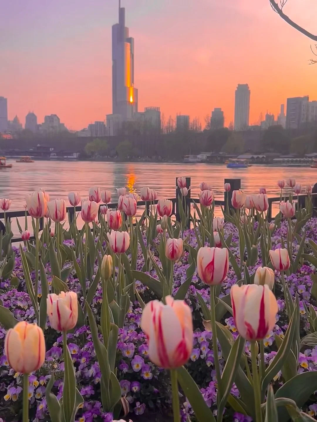 听劝👂3-4月来南京的姐妹请🐎住