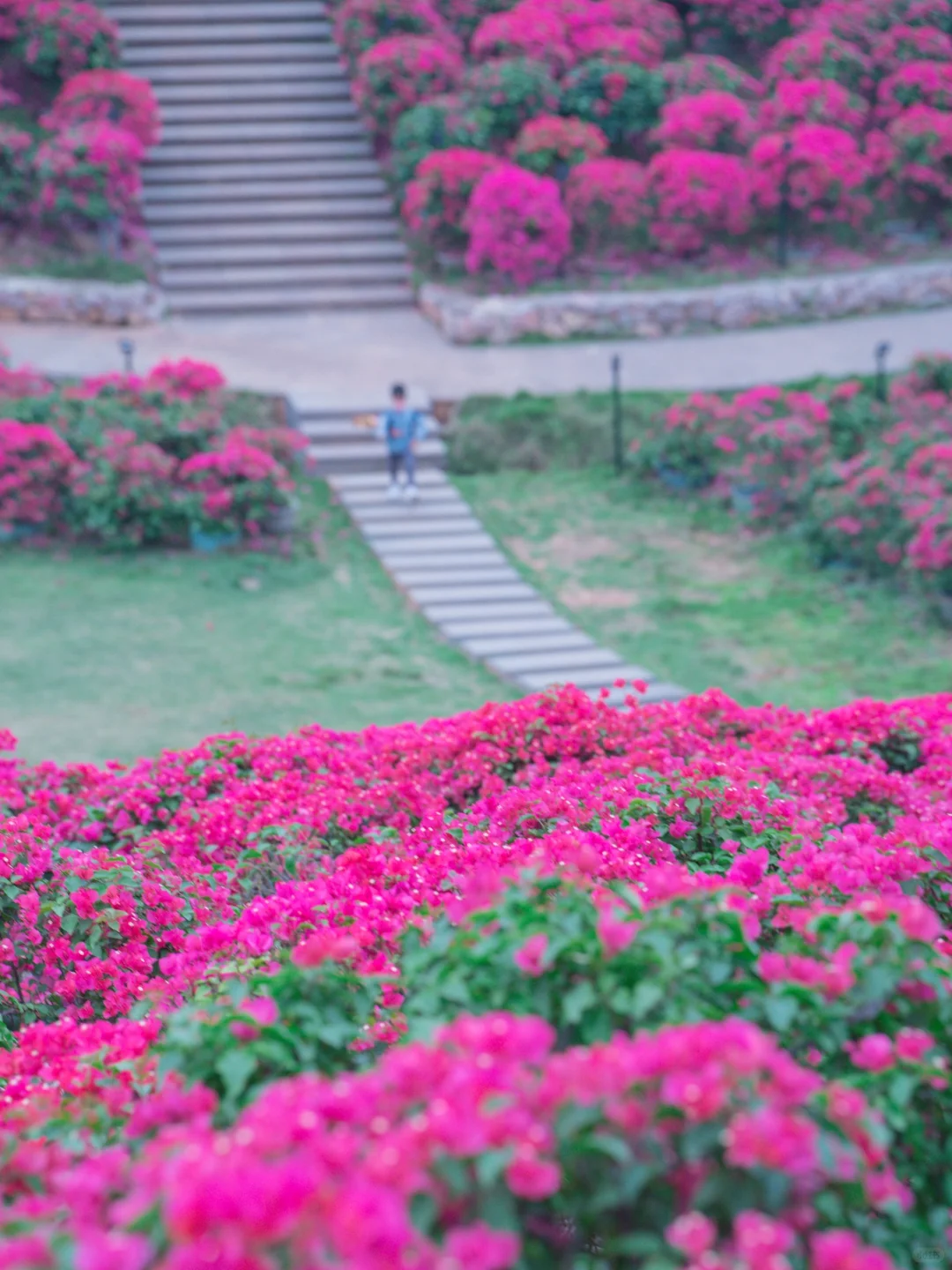 你们南宁还是过得太好了‼️