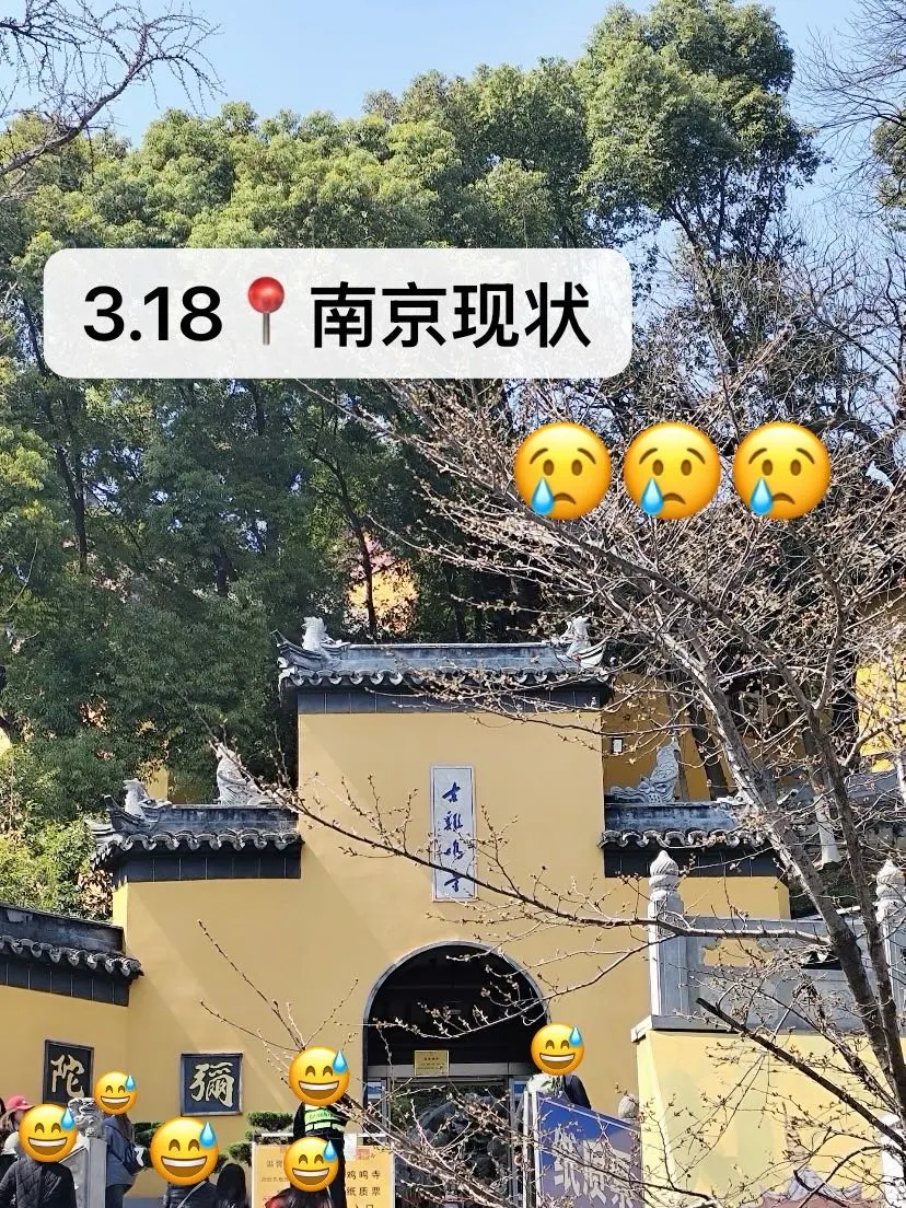 3.18南京已逃…崩溃了😫只想说些大实话