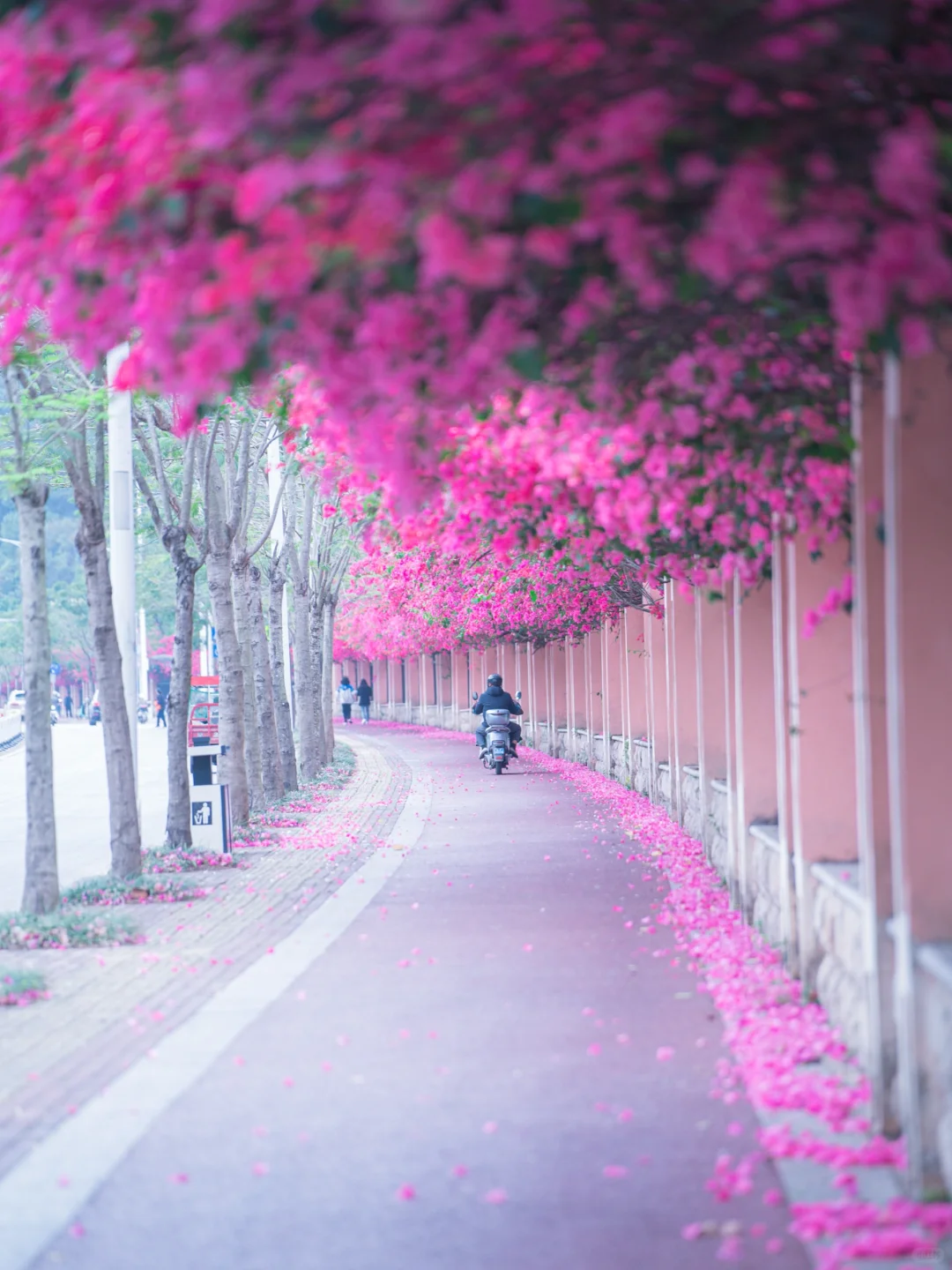 你们南宁还是过得太好了‼️