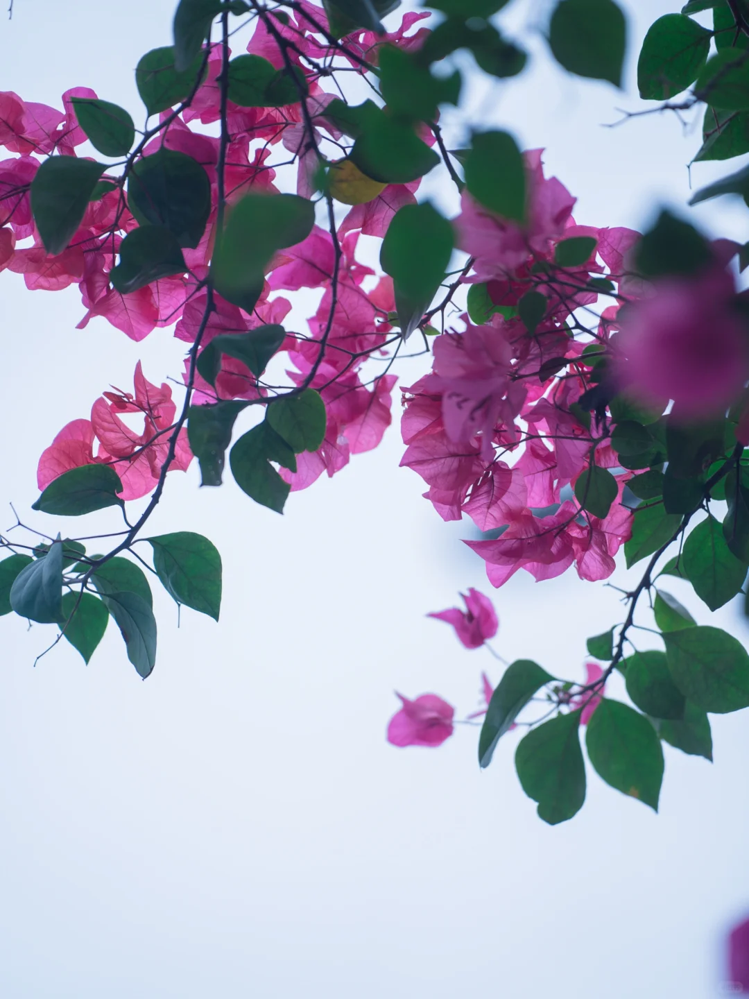 你们南宁还是过得太好了‼️