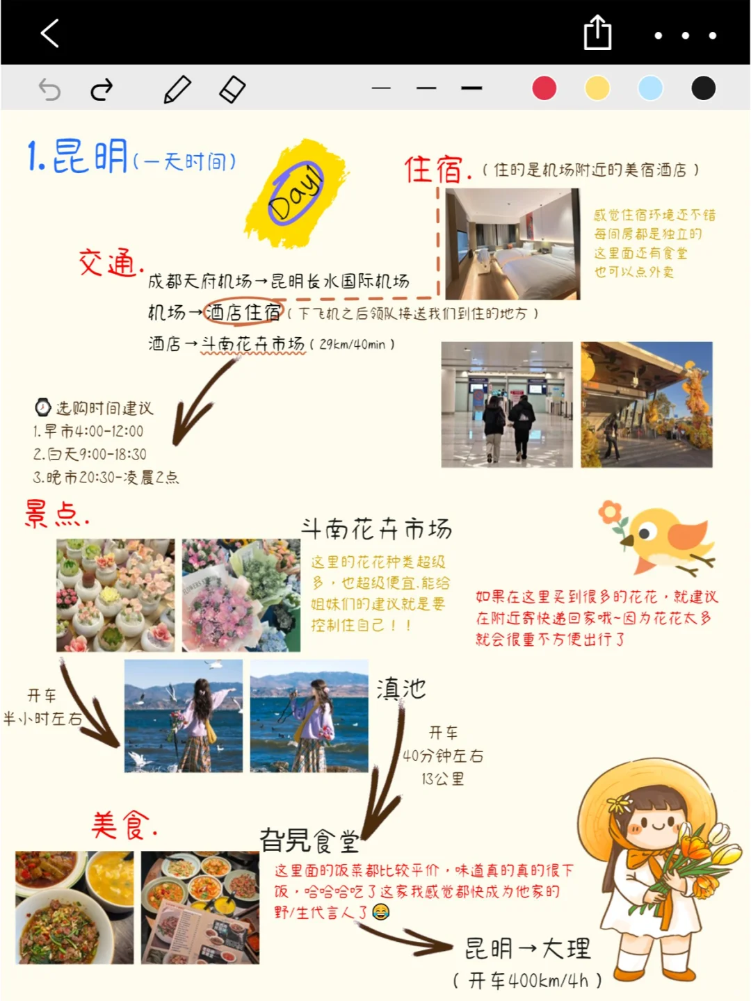 云南已回！p人整理的超详细云南五日游攻略