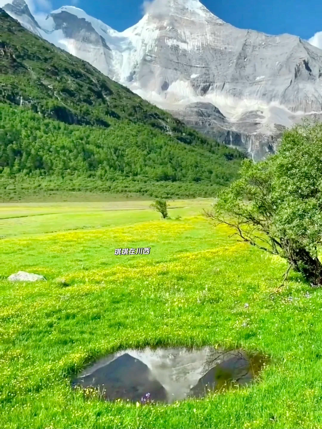 稻城亚丁live实况!春夏永远值得相信!