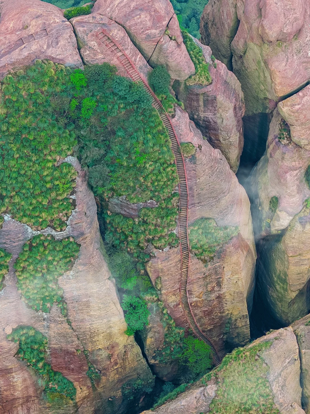 我的生命就应该浪费在这种地方…