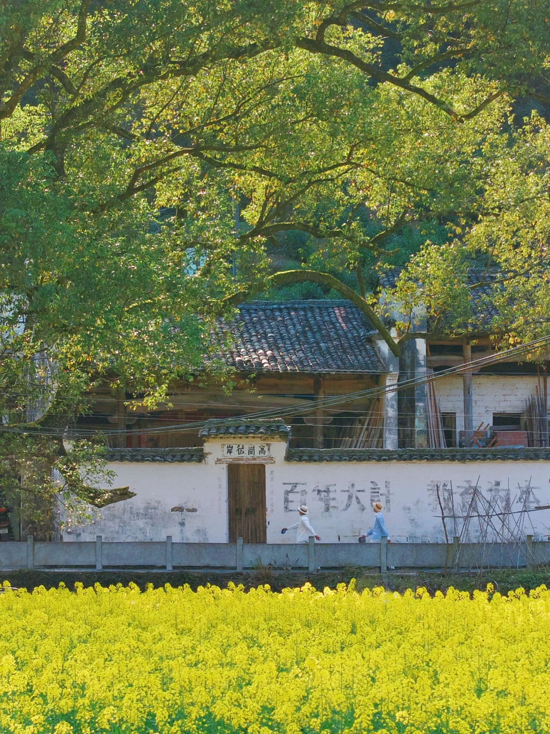 我的生命就应该浪费在这种地方…