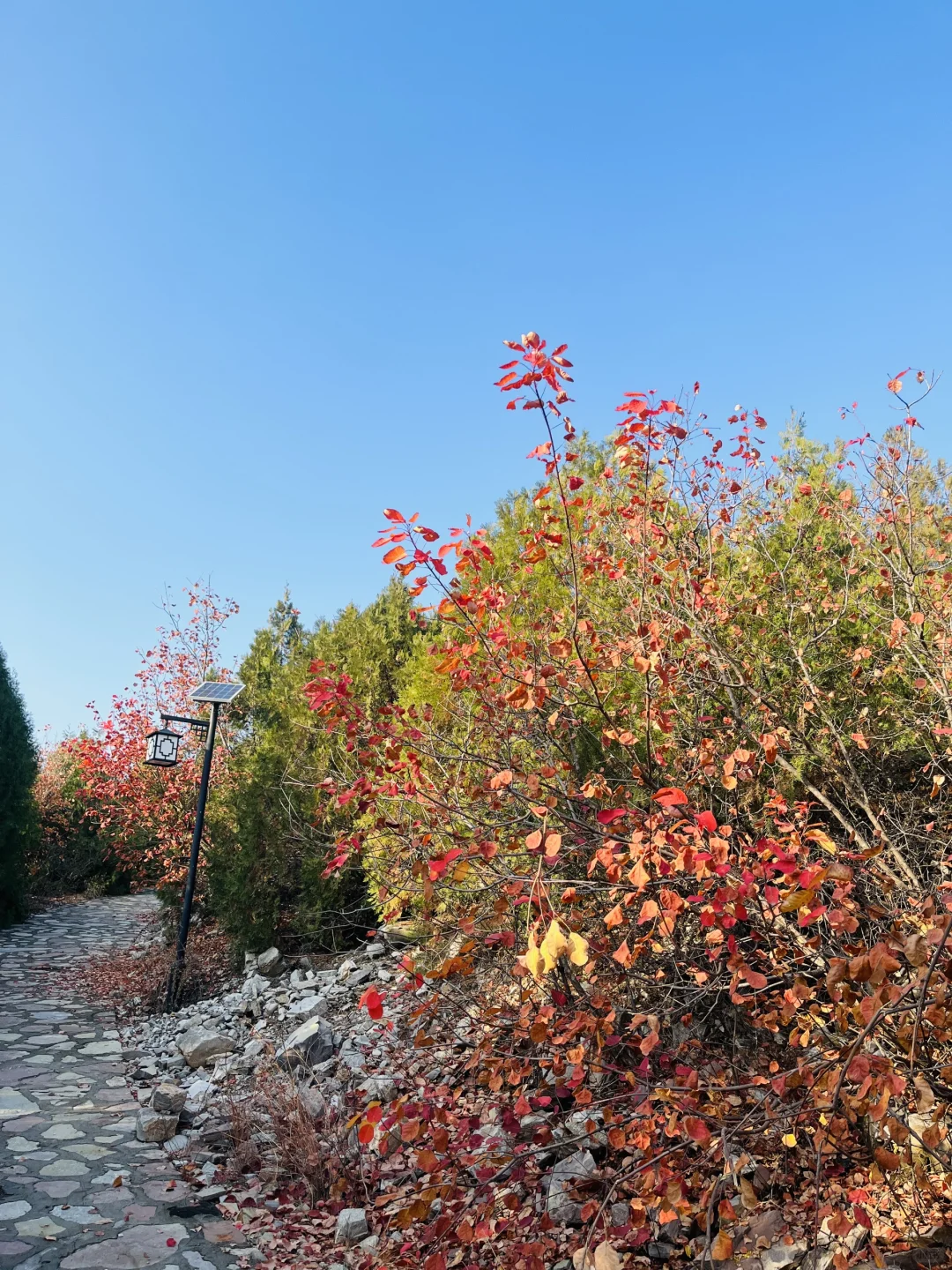 【蓟州】民宿附近热门景点一网打尽