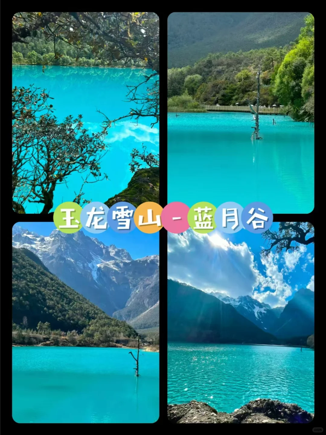 人均200+，玉龙雪山玩一天放心冲！！！