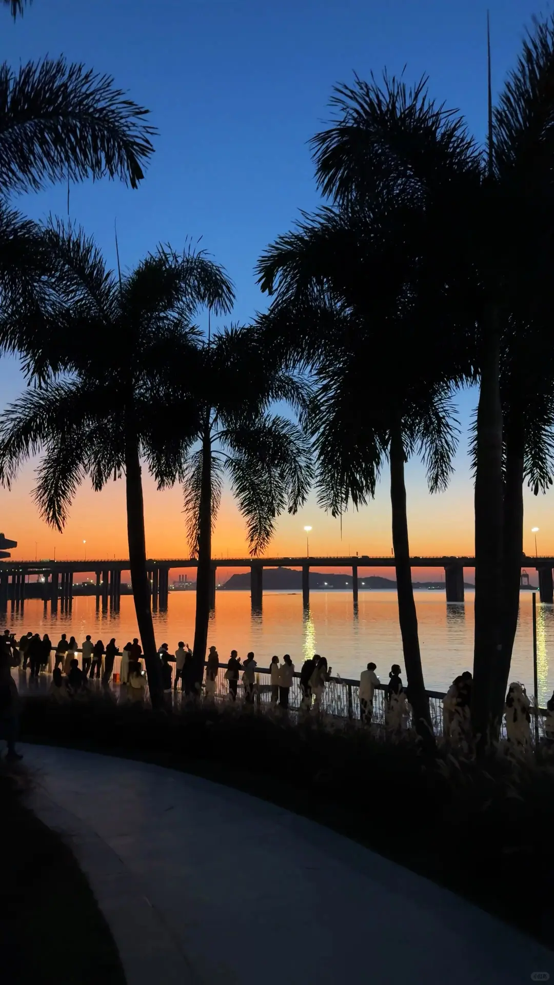 愿去深圳的姐妹都能刷到这篇💓💓