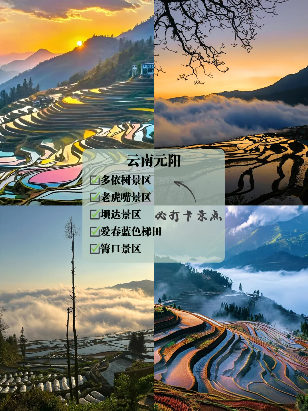 不愧Deepseek推荐，人均1000+就能玩到爽！