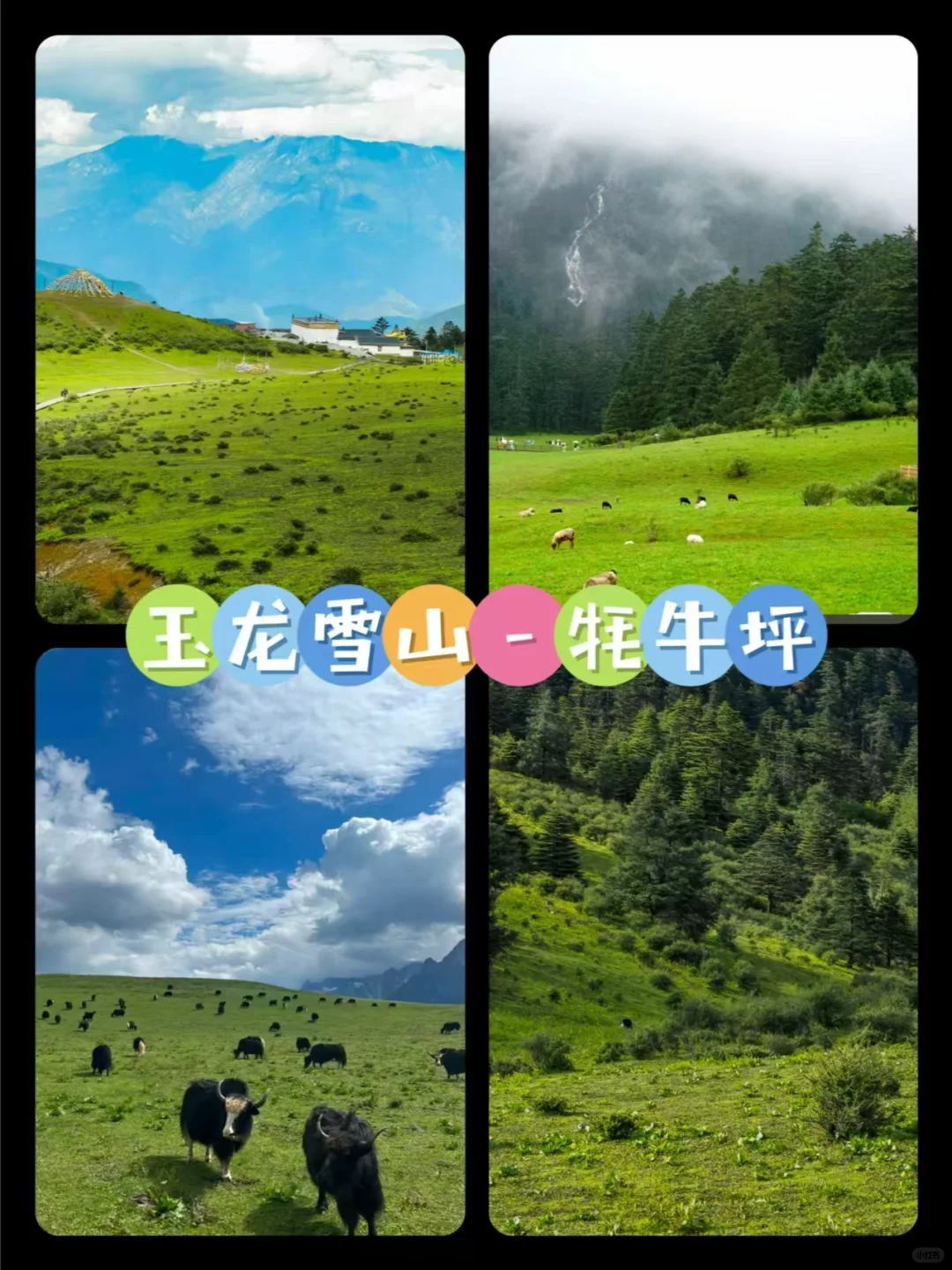 人均200+，玉龙雪山玩一天放心冲！！！