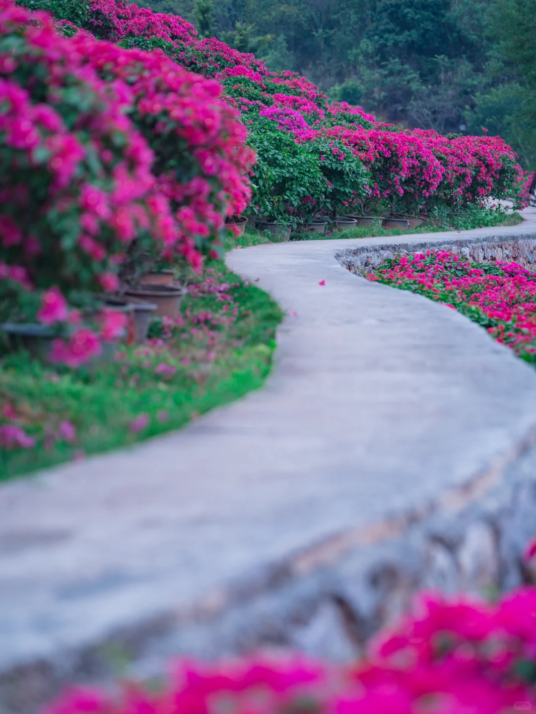 你们南宁还是过得太好了‼️