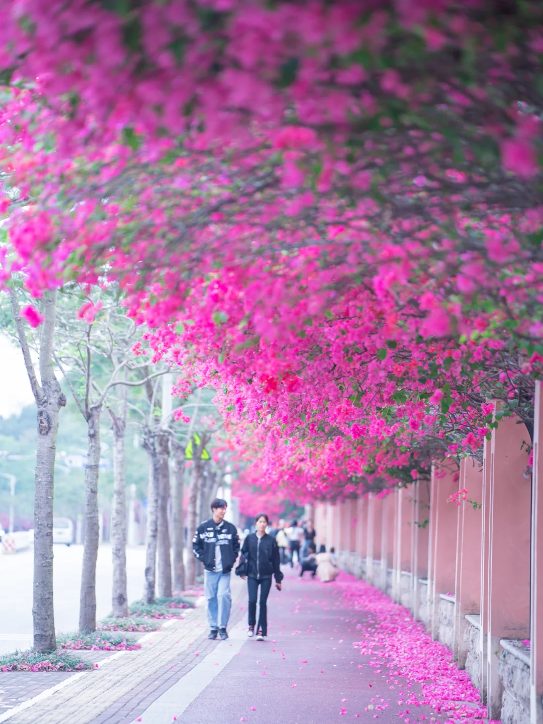 你们南宁还是过得太好了‼️