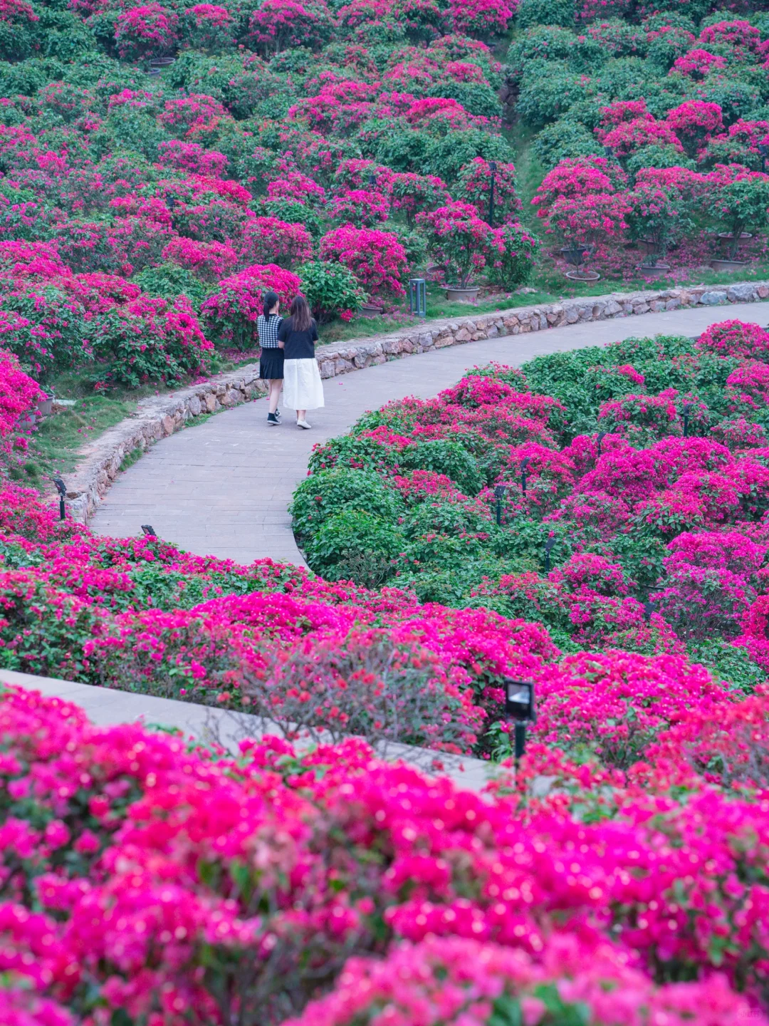 你们南宁还是过得太好了‼️