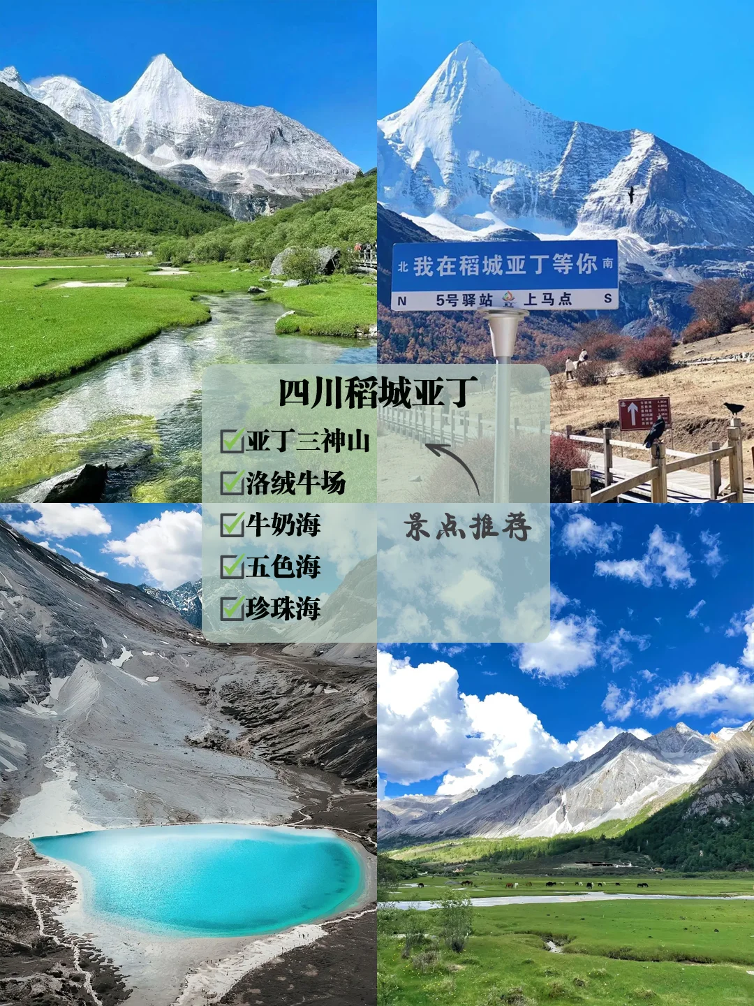 不愧Deepseek推荐，人均1000+就能玩到爽！