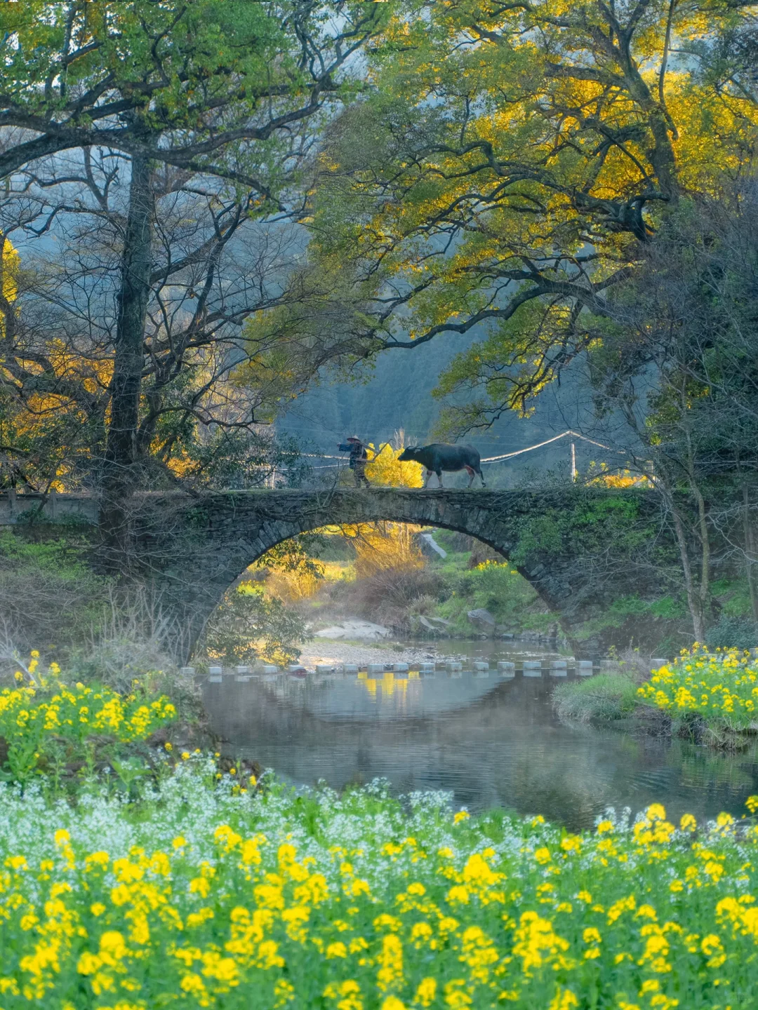 我的生命就应该浪费在这种地方…