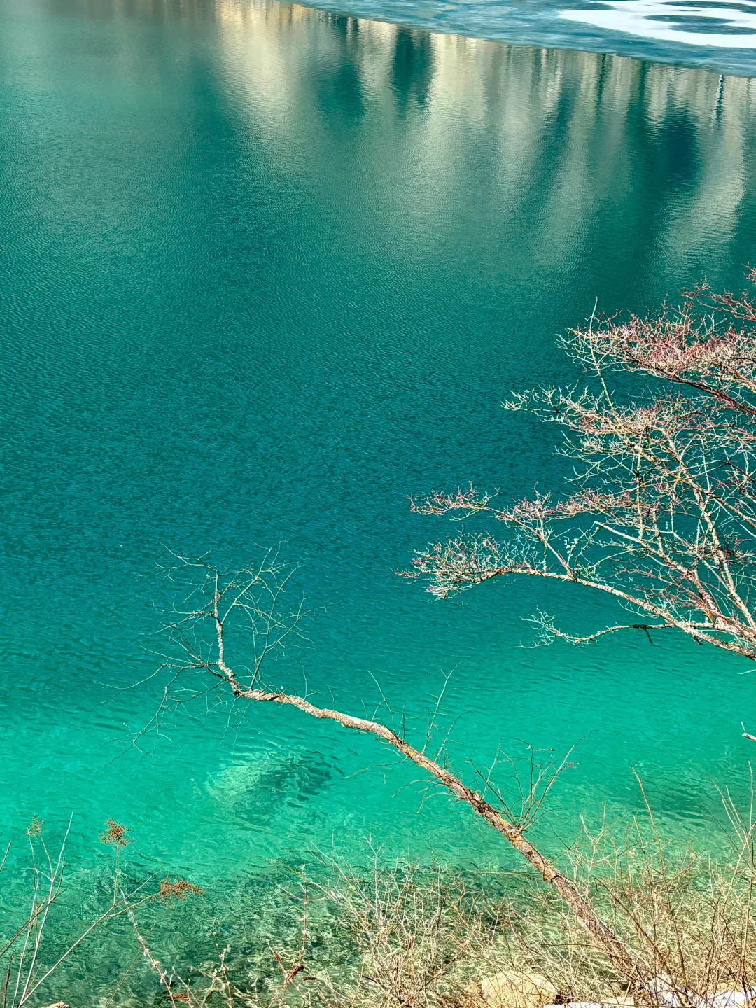 3.8📍我宣布‼这才是九寨沟最美的时刻‼