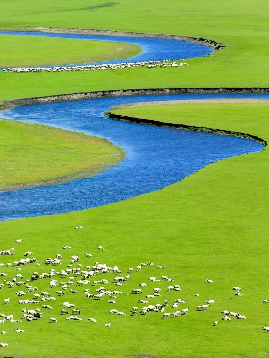 人生建议：6-8 月有空一定得去内蒙古‼️
