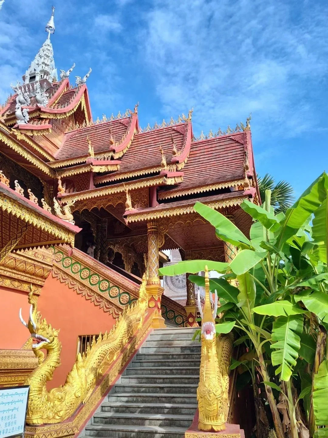 西双版纳必去 9 大景点👍