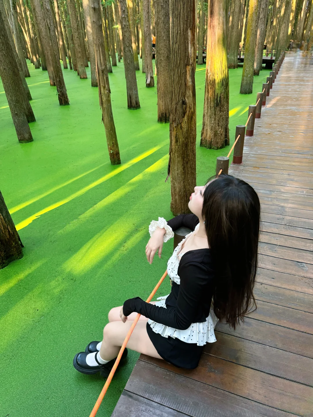 杭州青山湖🌳绝美!!!随手一拍就是大片!📸