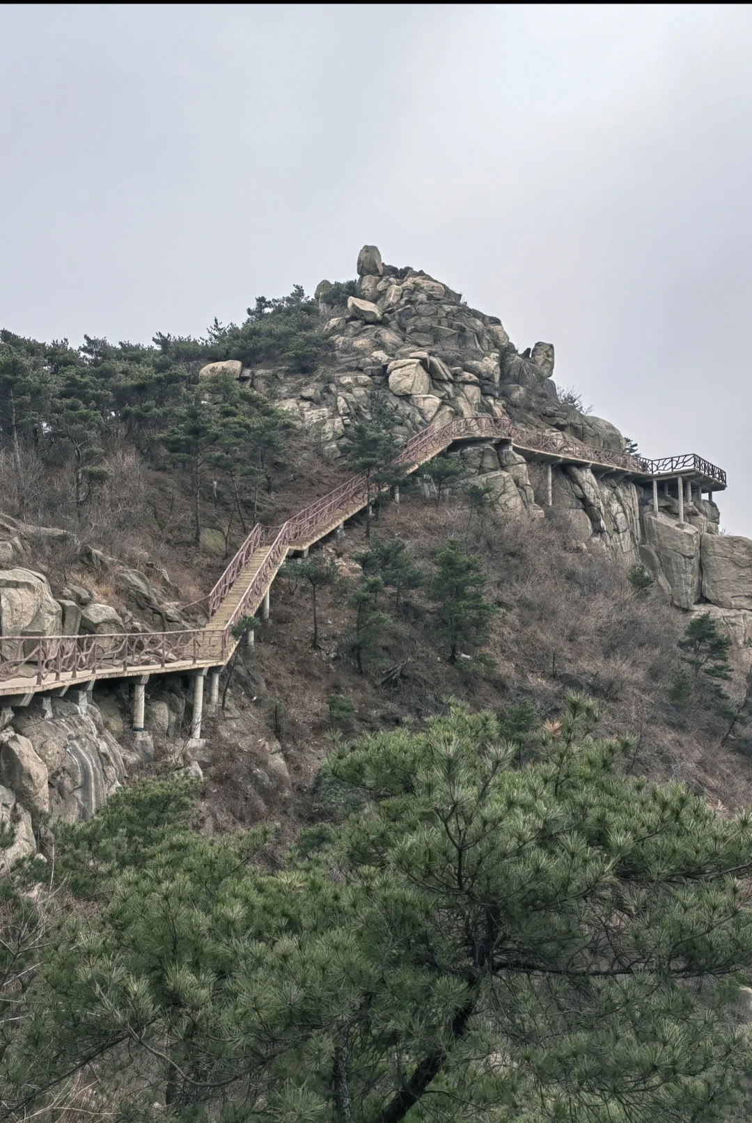 玩过新甫山吗？超值得推荐‼️