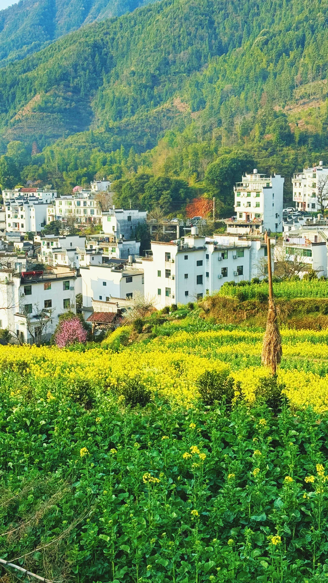 江岭溜腿的仨小时🫴🏻