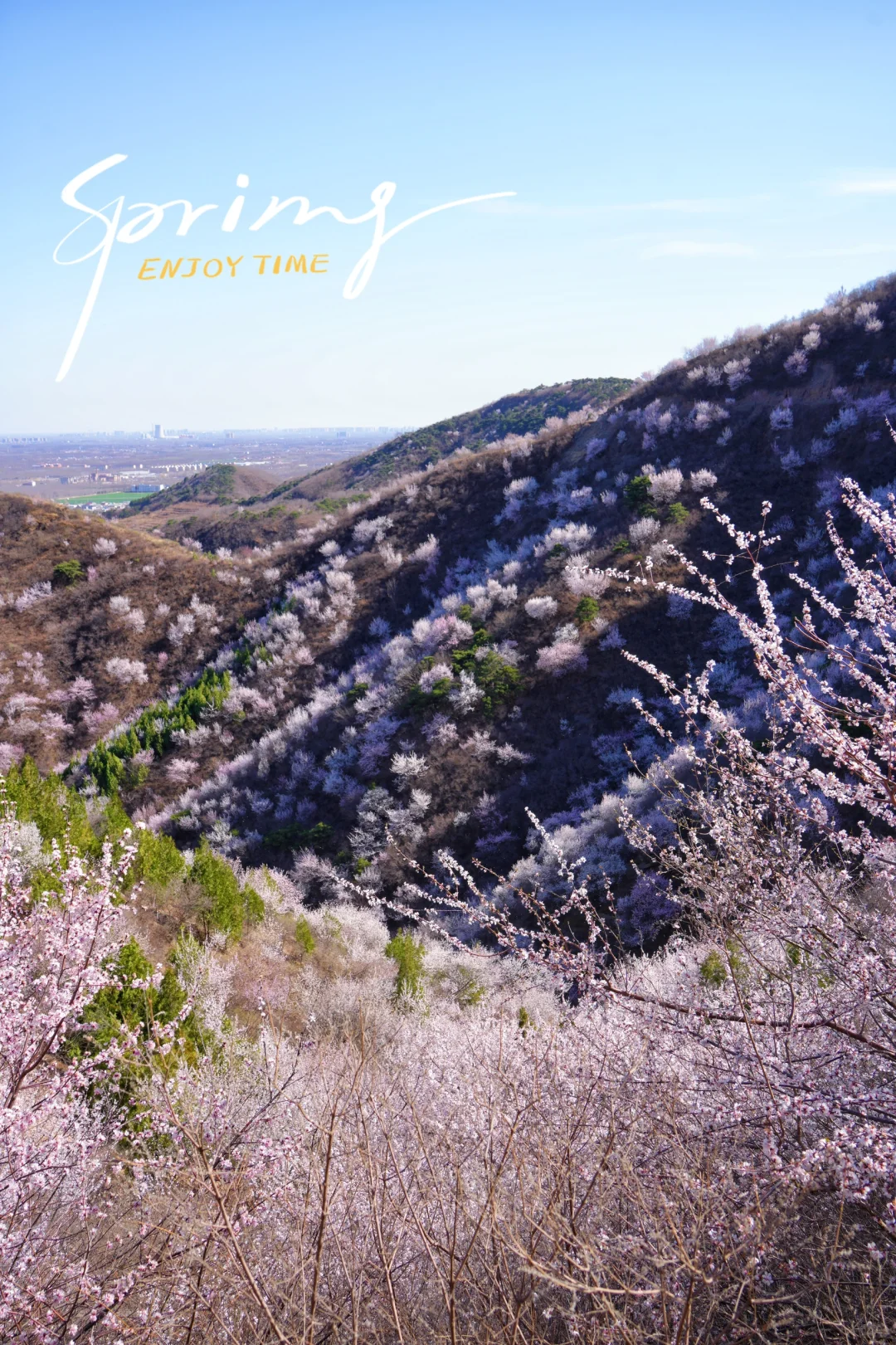 别再挤白虎涧‼️房山小众无人山谷太美🌸